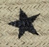 Nest Black Star