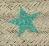 Nest Turquoise Star
